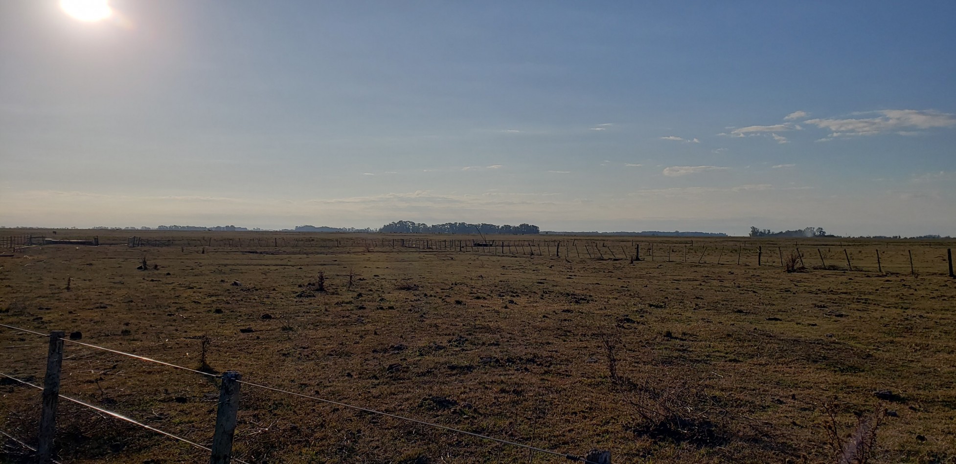 Foto Campo en Venta en Punta Indio, Buenos Aires - $ 4.500 - pix61922785 - BienesOnLine