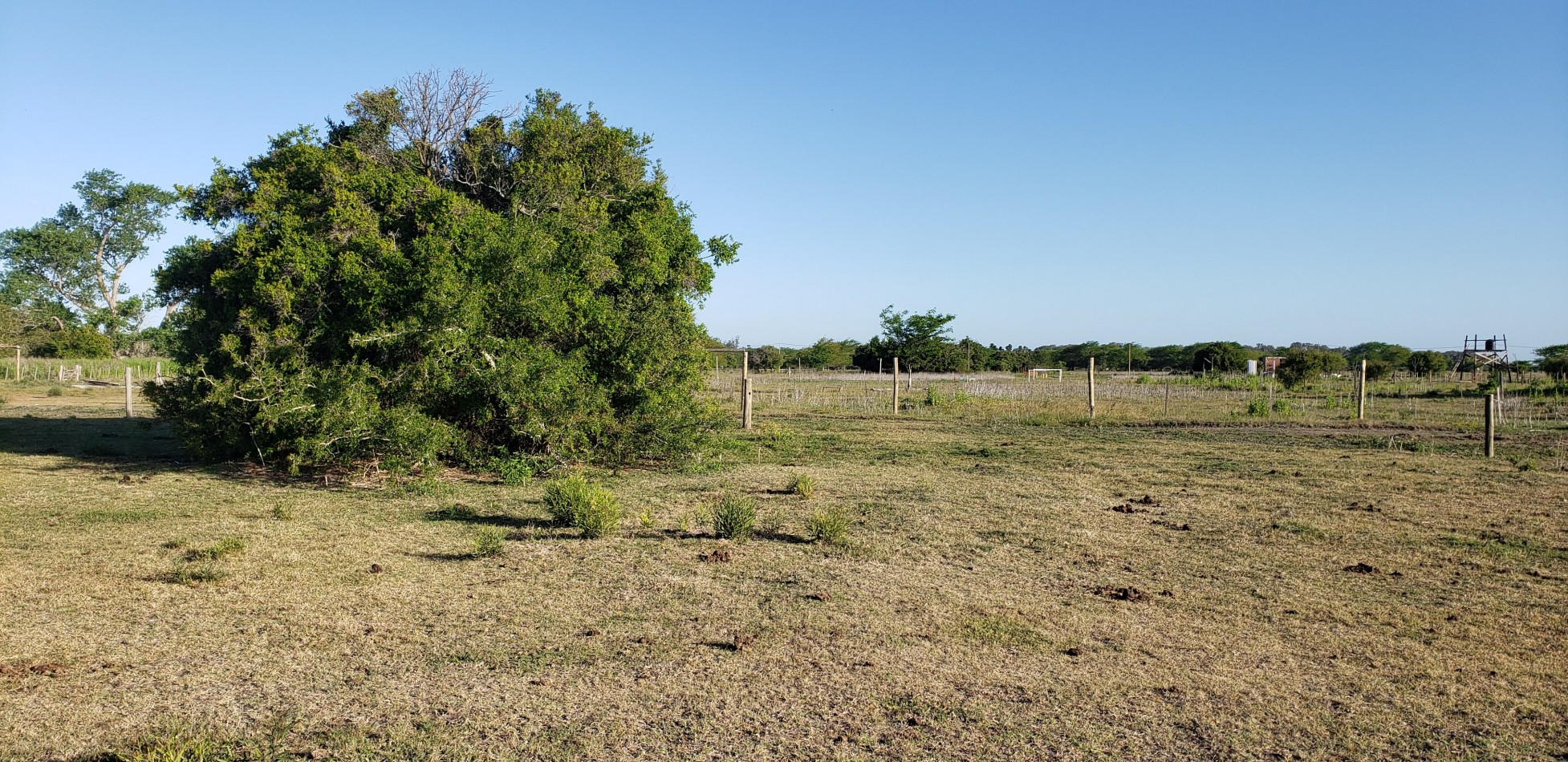 VENDO LOTES EN PUNTA INDIO IMPERDIBLE