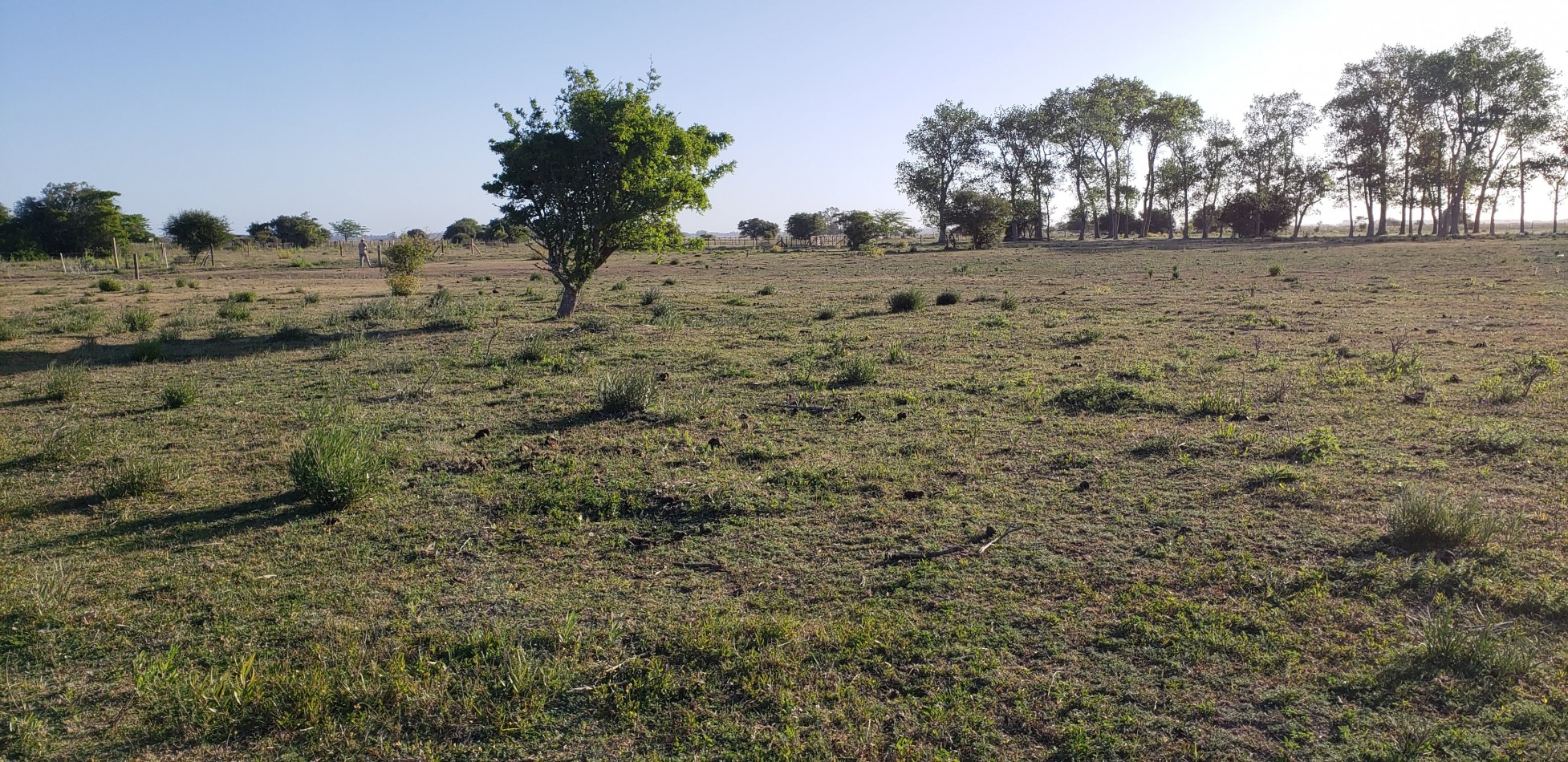 VENDO LOTES EN PUNTA INDIO IMPERDIBLE