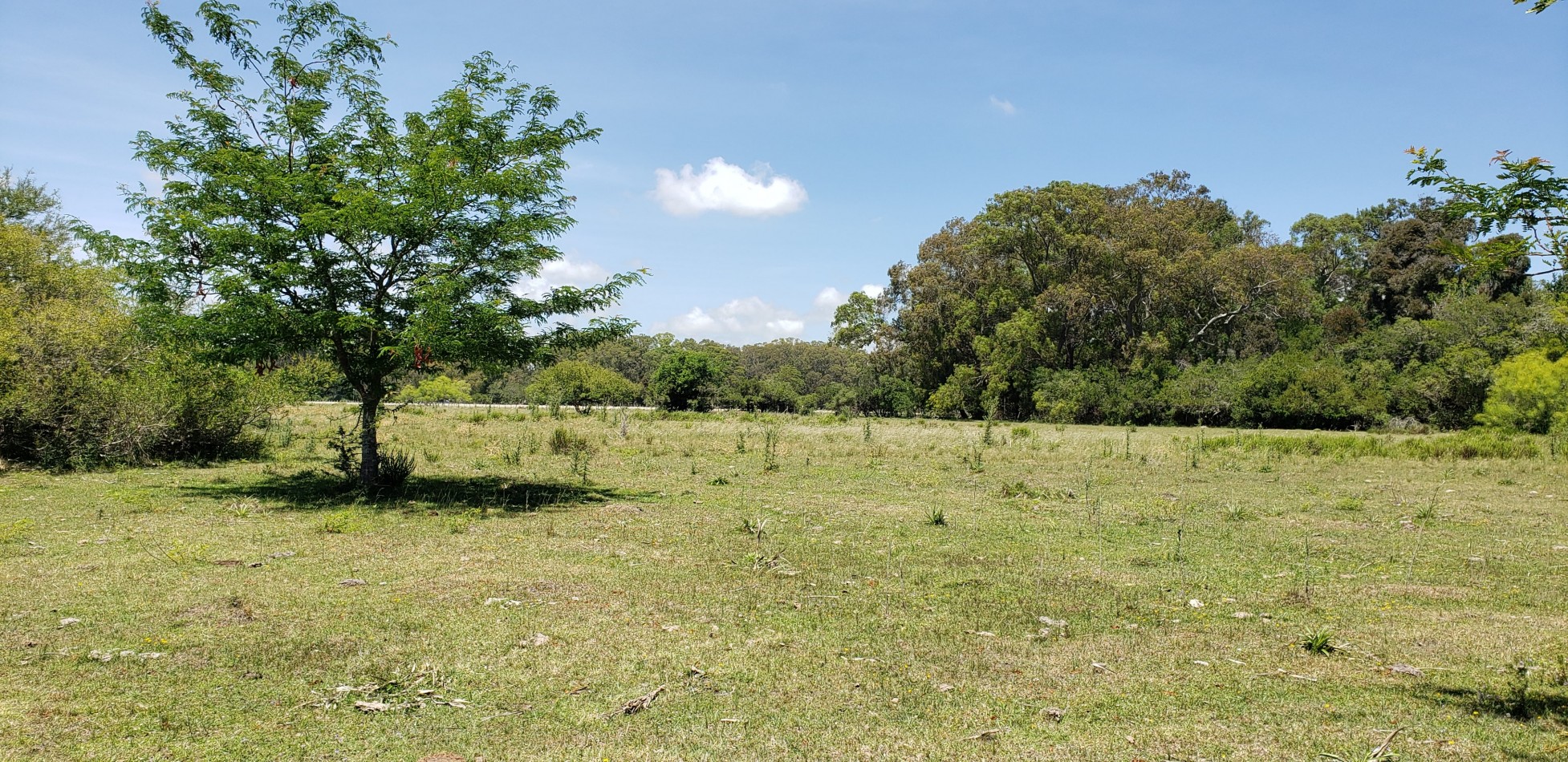 AMPLIO LOTE VENDO EN PUNTA INDIO