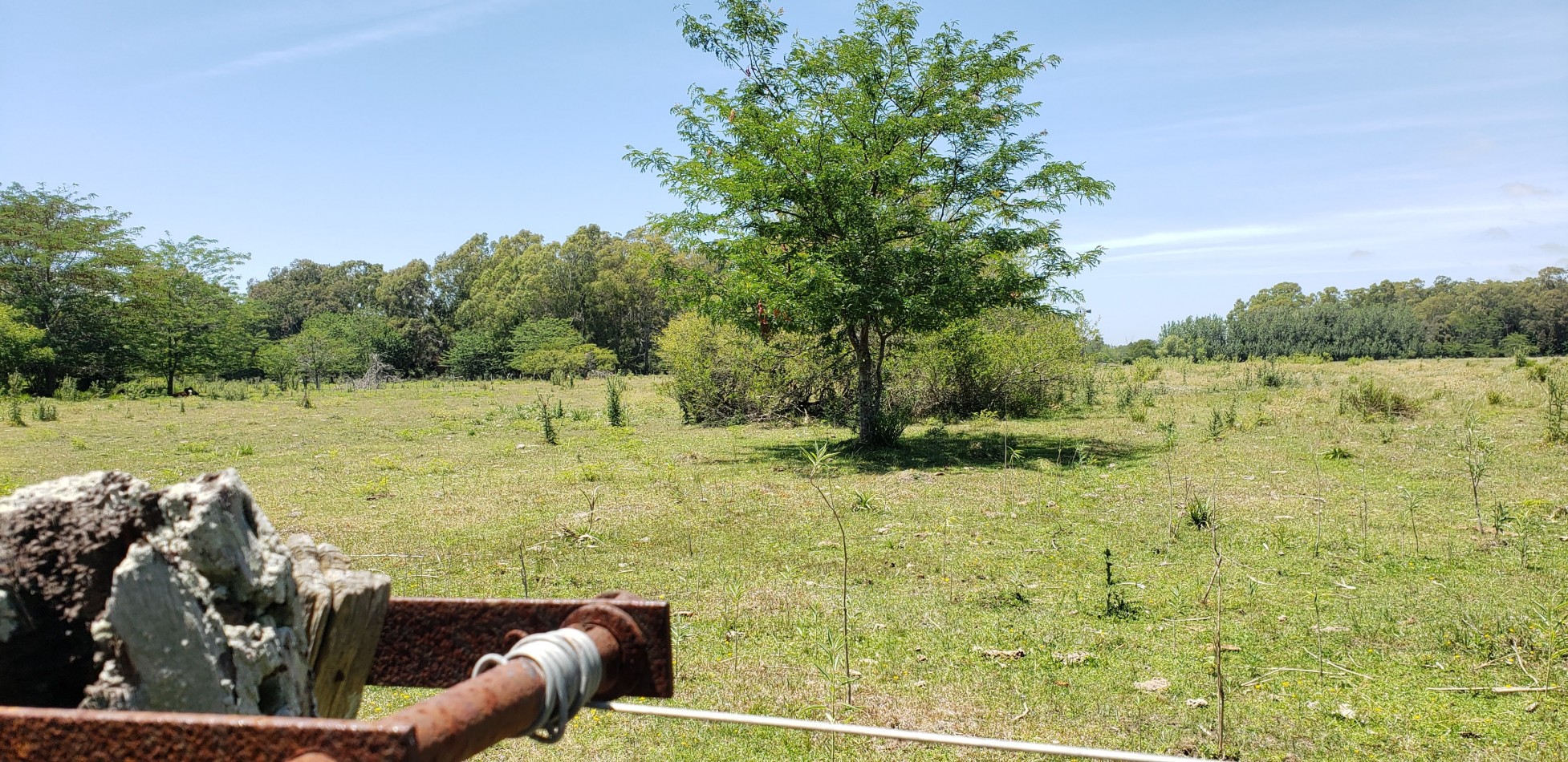 AMPLIO LOTE VENDO EN PUNTA INDIO