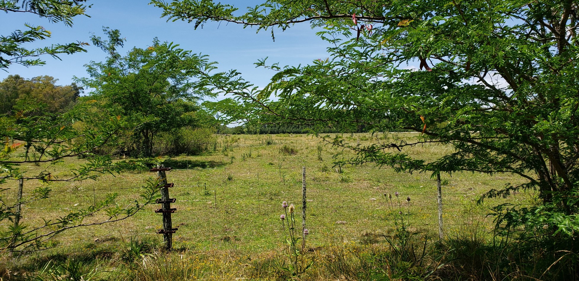 AMPLIO LOTE VENDO EN PUNTA INDIO