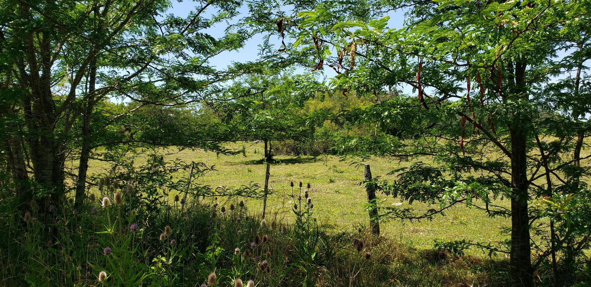 AMPLIO LOTE VENDO EN PUNTA INDIO