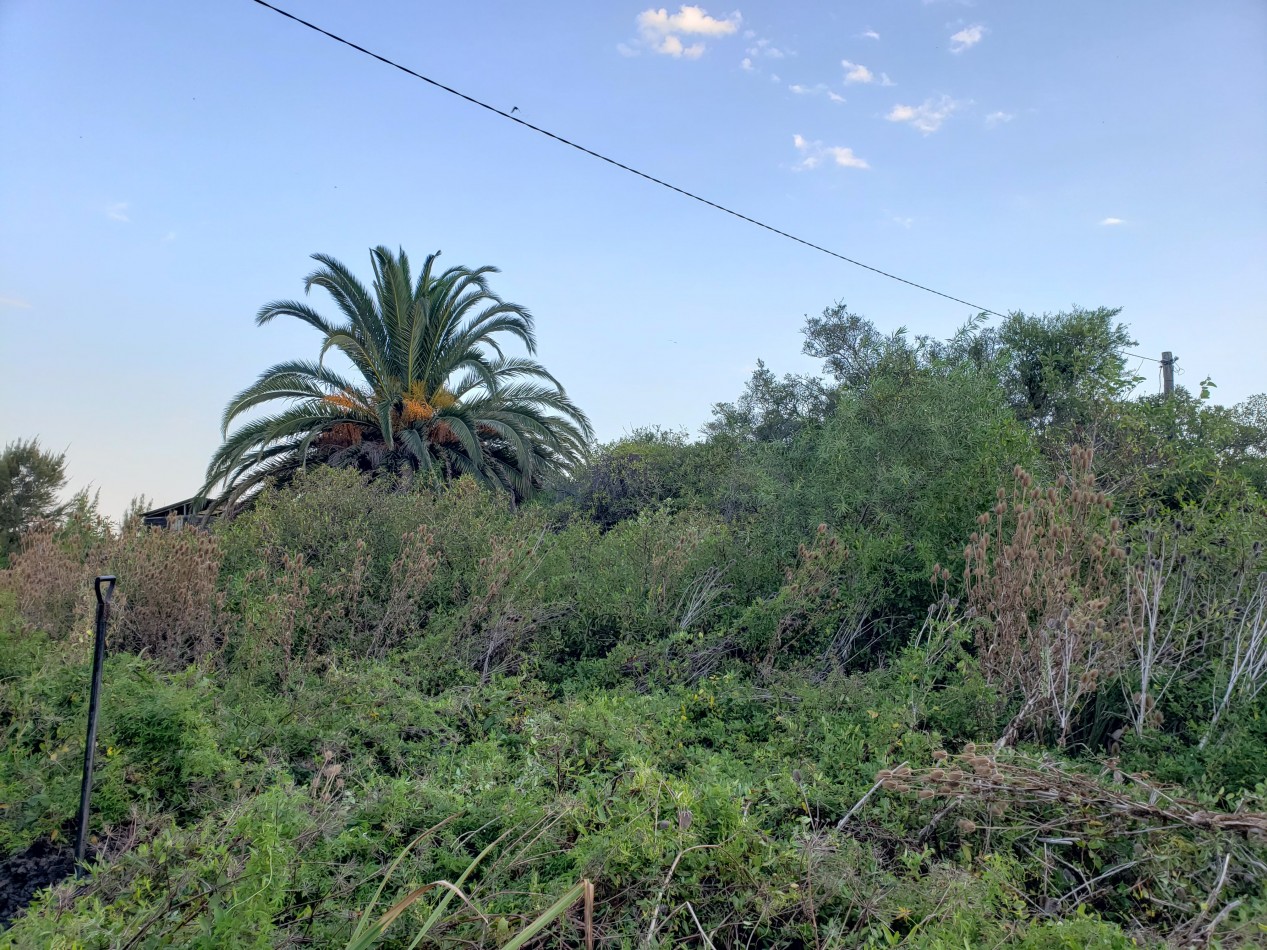  VENDO ESQUINA EN PUNTA INDIO 