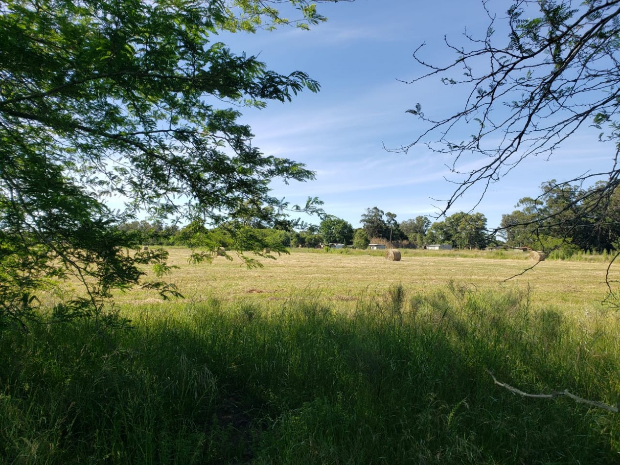 VENTA DE DOS FRACCIONES DE 1,6 HECTAREAS - VERONICA, PUNTA INDIO