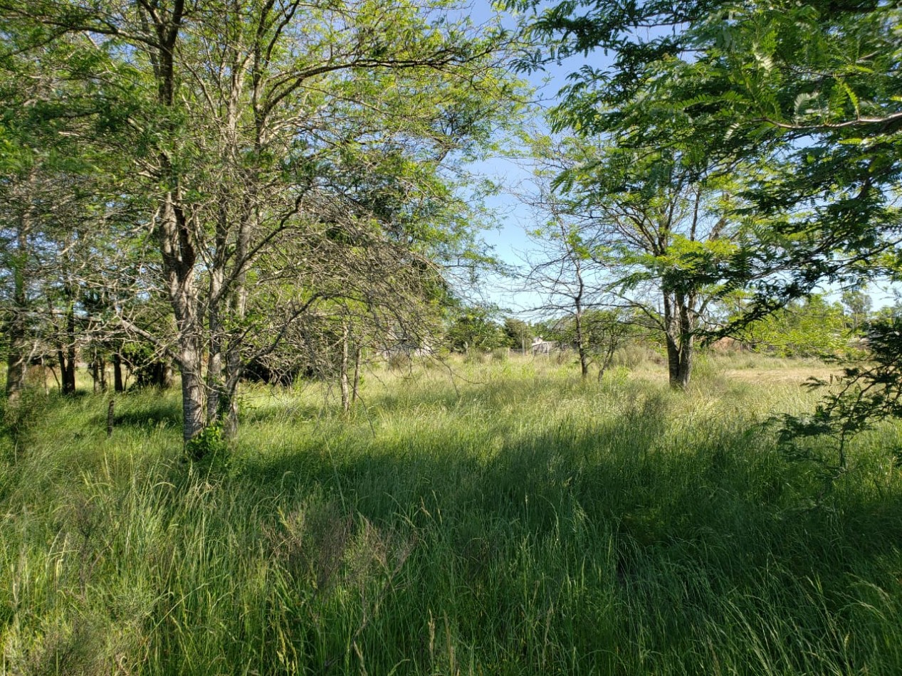 VENTA DE DOS FRACCIONES DE 1,6 HECTAREAS - VERONICA, PUNTA INDIO