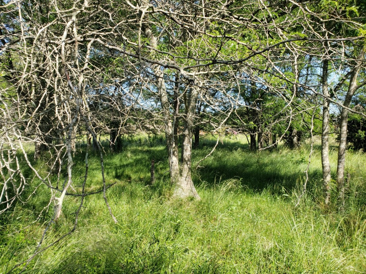 VENTA DE DOS FRACCIONES DE 1,6 HECTAREAS - VERONICA, PUNTA INDIO