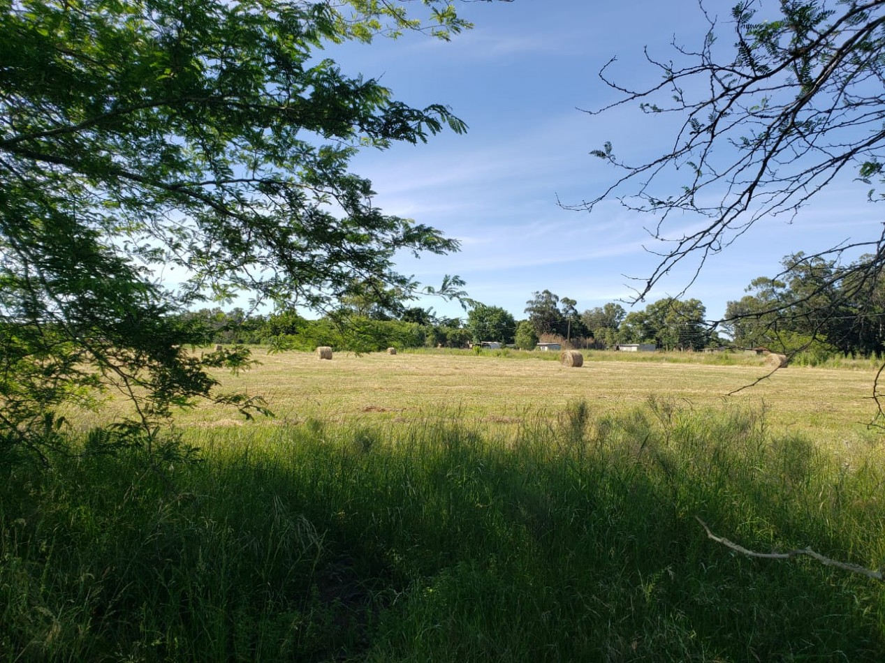 VENTA DE DOS FRACCIONES DE 1,6 HECTAREAS - VERONICA, PUNTA INDIO