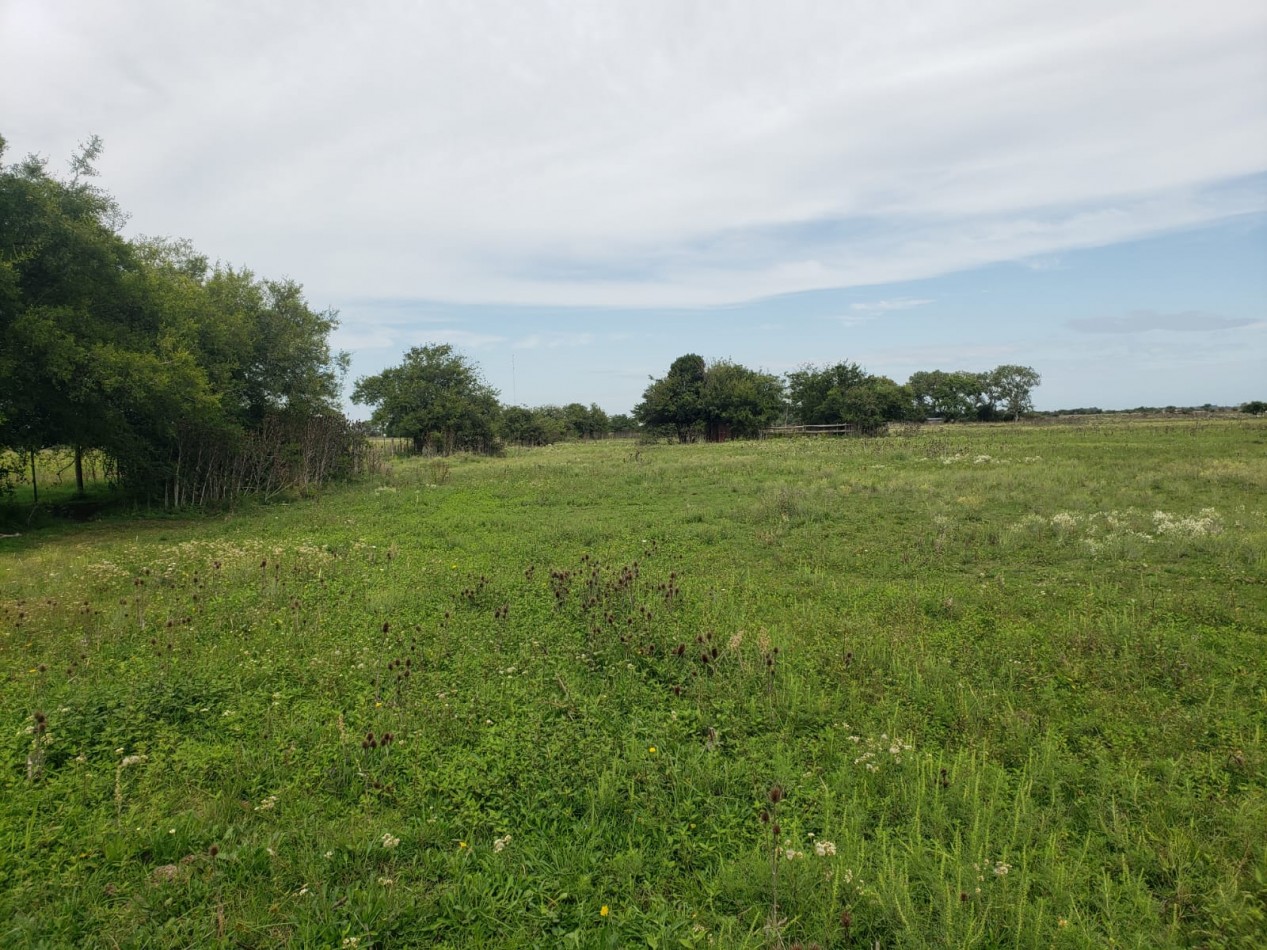 VENTA  IMPORTANTE LOTE de 30X60, en Vieytes, Magdalena