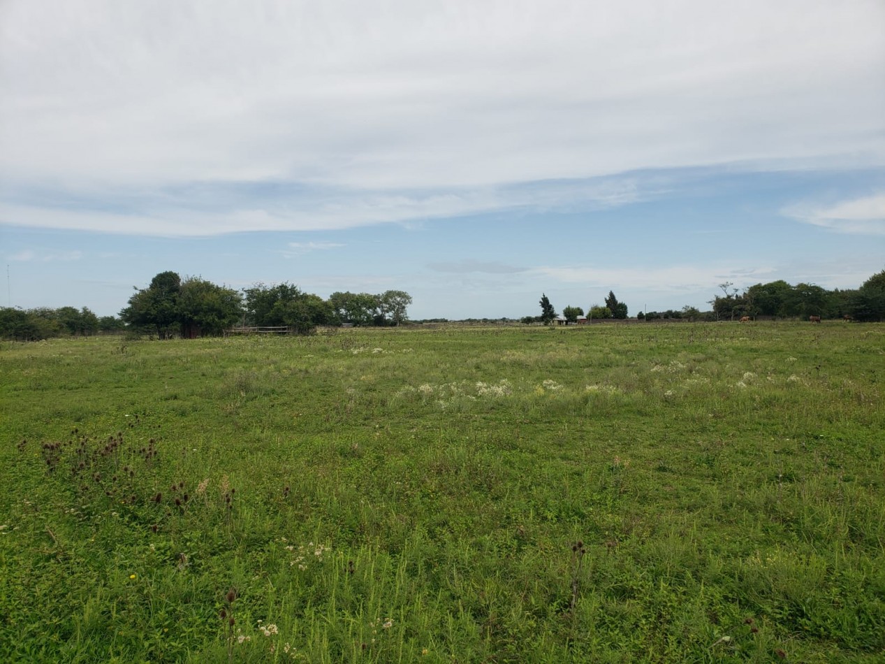 VENTA  IMPORTANTE LOTE de 30X60, en Vieytes, Magdalena