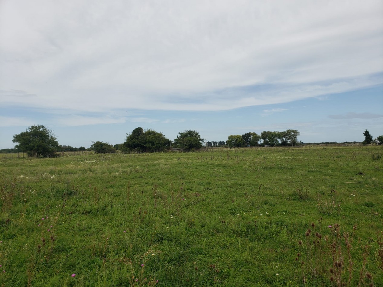 VENTA  IMPORTANTE LOTE de 30X60, en Vieytes, Magdalena