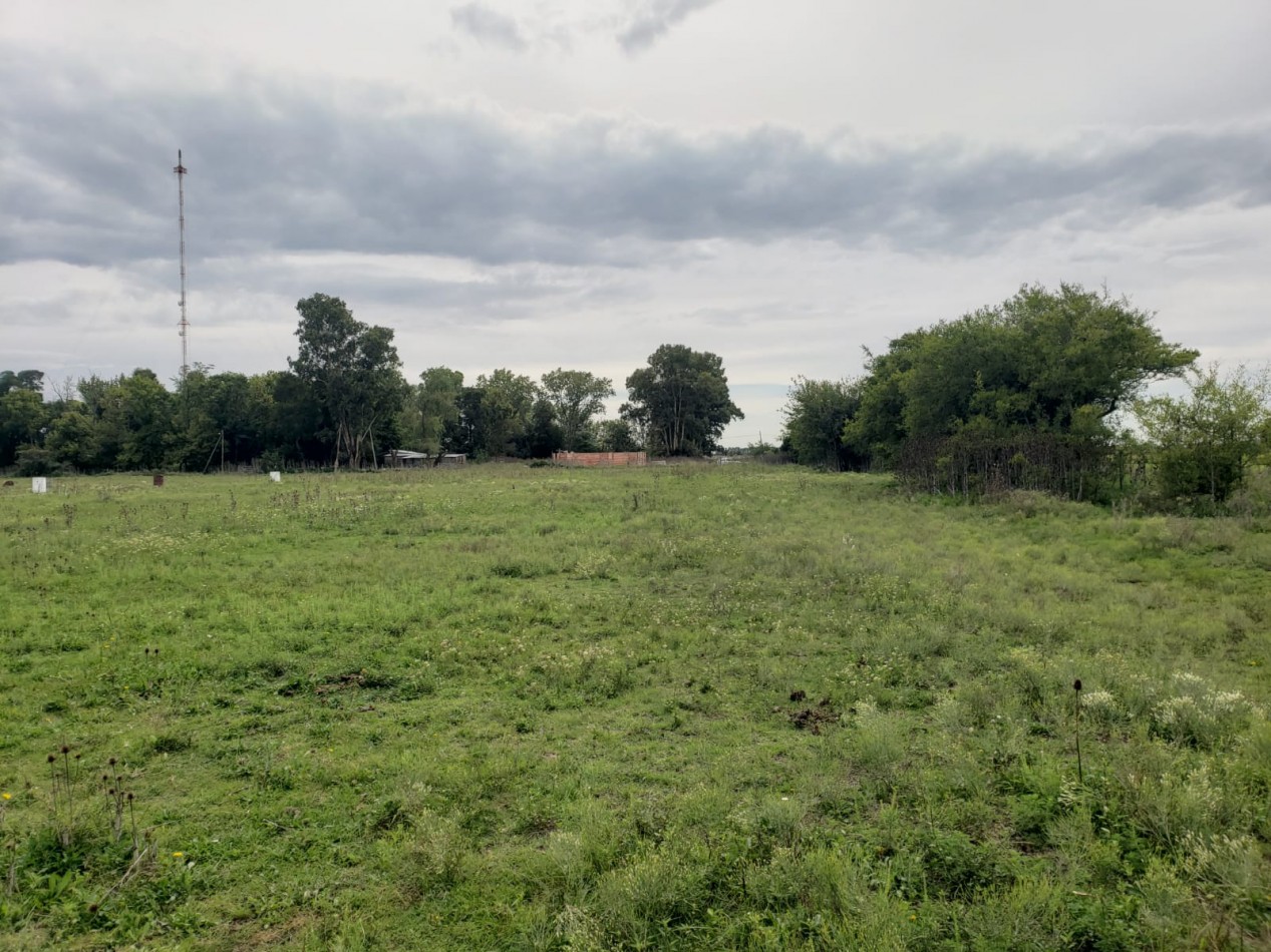 VENTA  IMPORTANTE LOTE de 30X60, en Vieytes, Magdalena