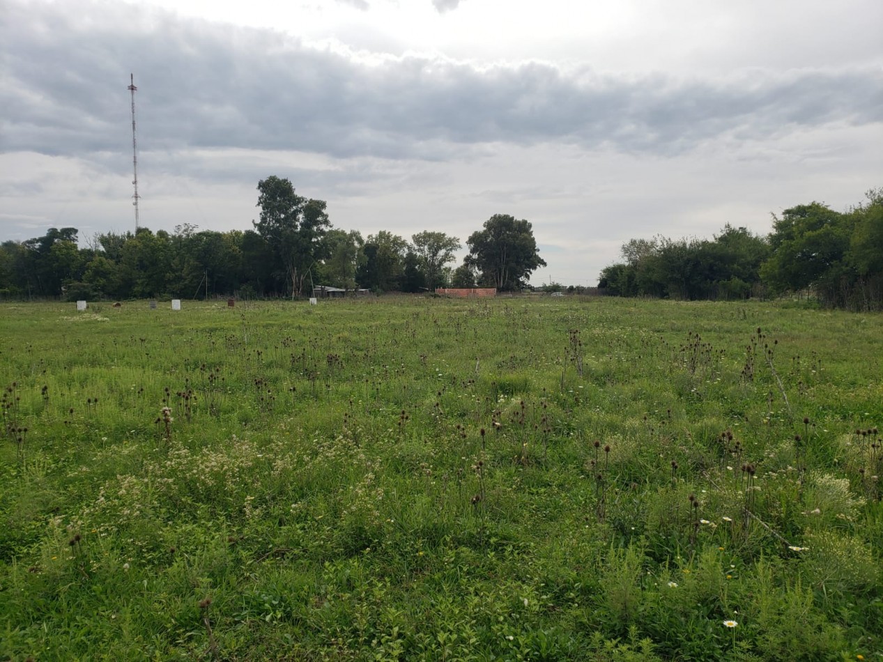 VENTA  IMPORTANTE LOTE de 30X60, en Vieytes, Magdalena
