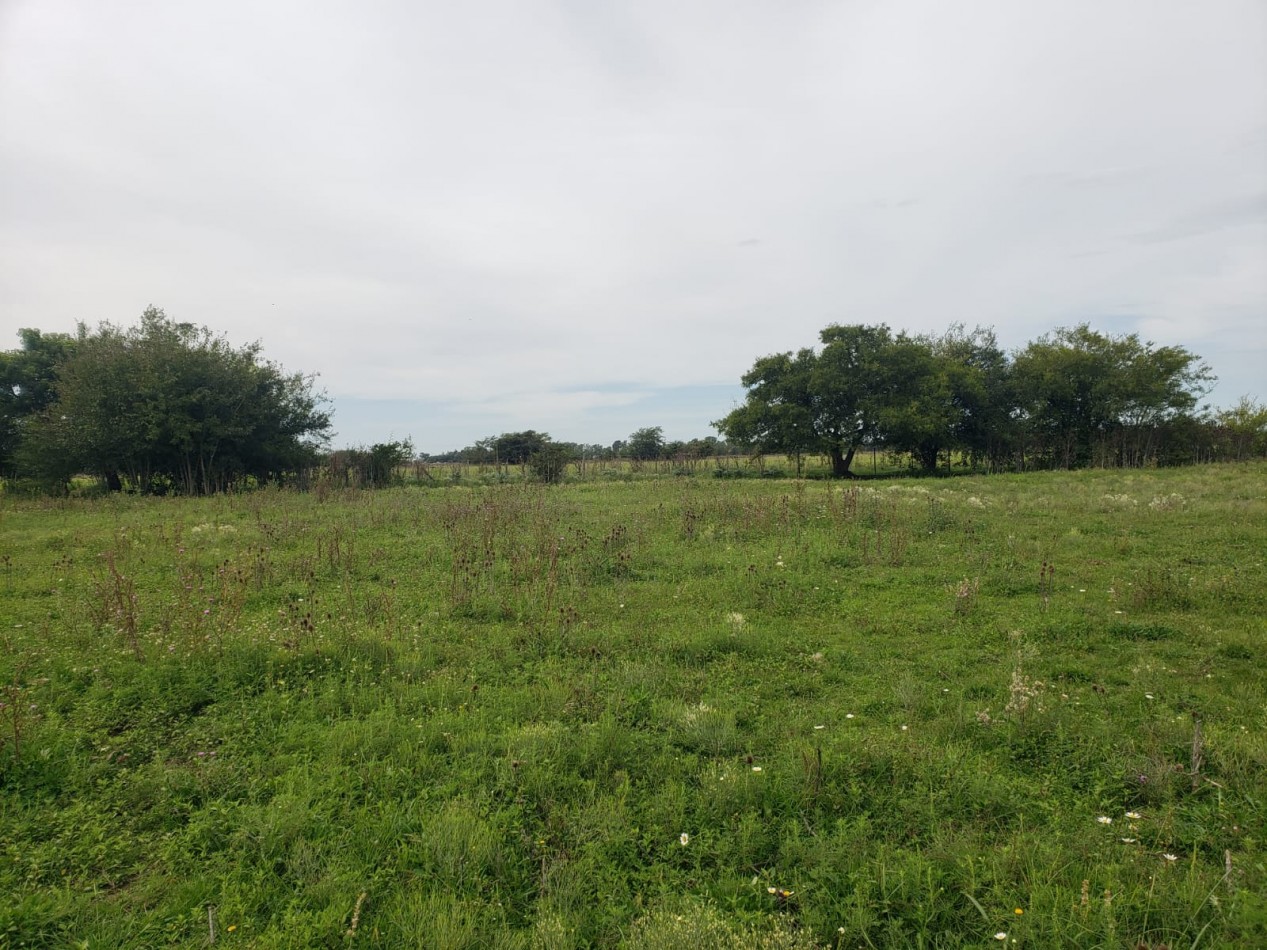 VENTA  IMPORTANTE LOTE de 30X60, en Vieytes, Magdalena