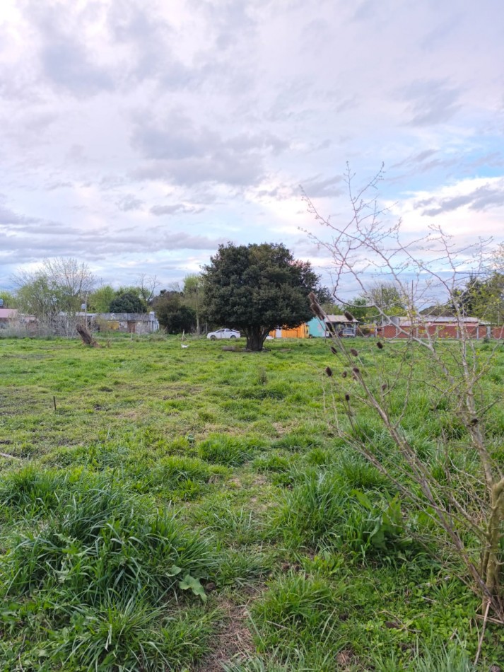  VENTA DE LOTES EN VERONICA - PUNTA INDIO