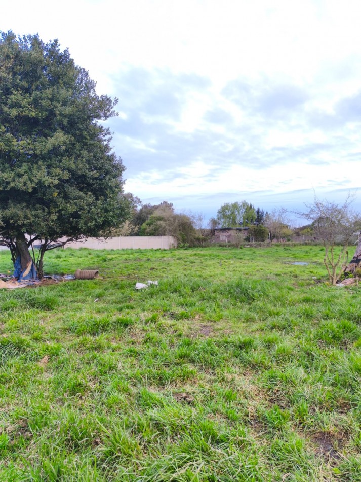  VENTA DE LOTES EN VERONICA - PUNTA INDIO