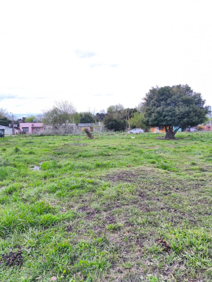  VENTA DE LOTES EN VERONICA - PUNTA INDIO