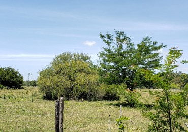 AMPLIO LOTE VENDO EN PUNTA INDIO