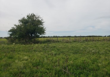 VENTA  IMPORTANTE LOTE de 30X60, en Vieytes, Magdalena